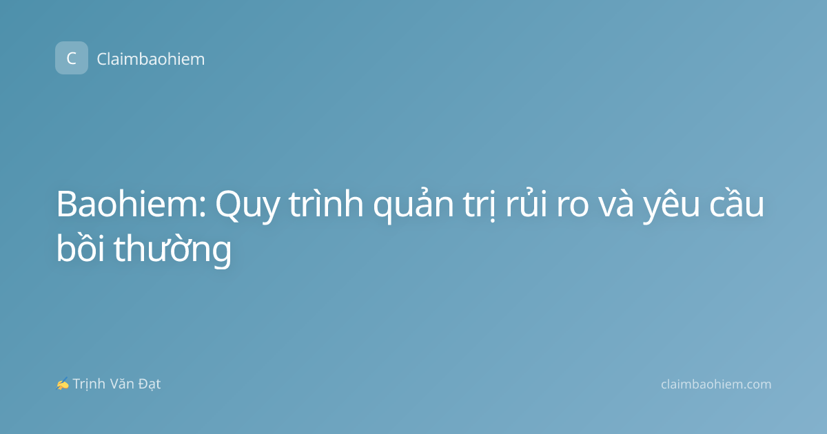 Baohiem: Quy trình quản trị rủi ro và yêu cầu bồi thường
